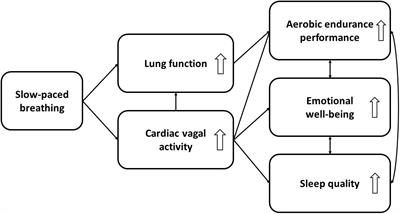 Using Slow-Paced Breathing to Foster Endurance, Well-Being, and Sleep Quality in Athletes During the COVID-19 Pandemic